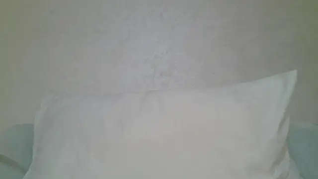 Snapshot of roccosif696 chatting on September 25, 9:19 am roccosif696 online show from September 25, 9:19 am