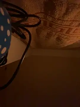 SexSanich online show from November 6, 4:04 am