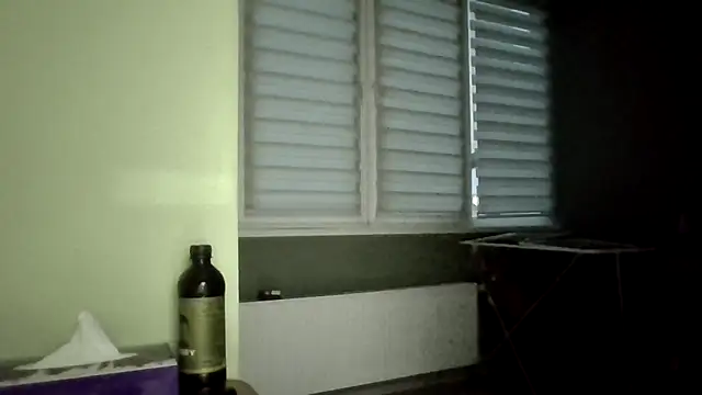 Snapshot of SexSanich chatting on October 11, 4:05 am SexSanich online show from October 11, 4:05 am