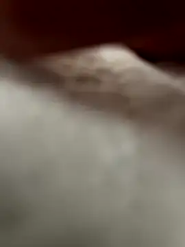 sxxxxxxlll online show from November 4, 11:00 am