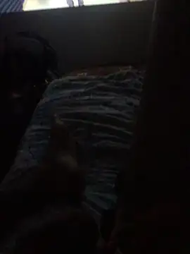 angelibggff online show from October 14, 4:52 am