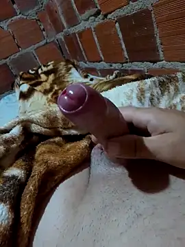 w31 online show from April 7, 1:38 am