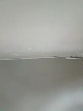 Stomps33 online show from February 5, 11:01 pm