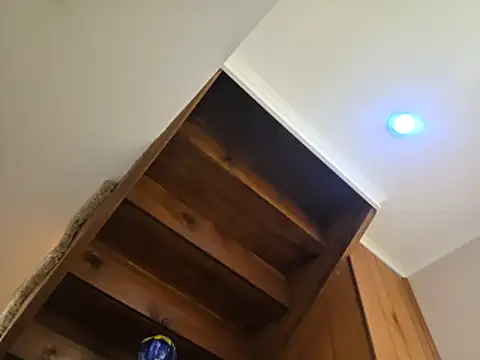 Travislovescum online show from November 24, 2:18 pm