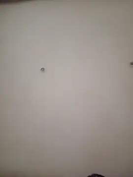 julialope online show from April 18, 1:56 pm