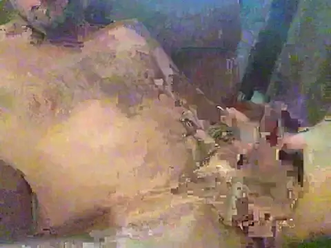 timmy88809 online show from February 18, 4:48 pm