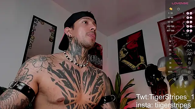 TigerStripes1  online show from March 24, 2:55 pm